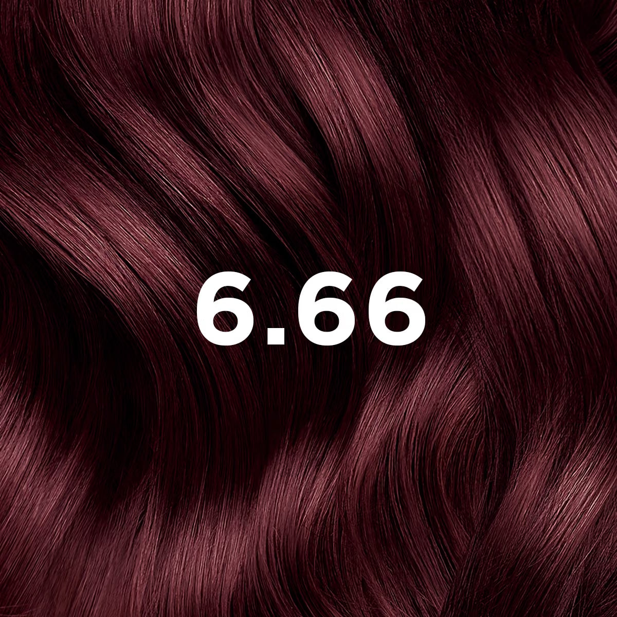 Phyto Hair Color6.66 Castano Rosso Intenso Ciliegia Kit