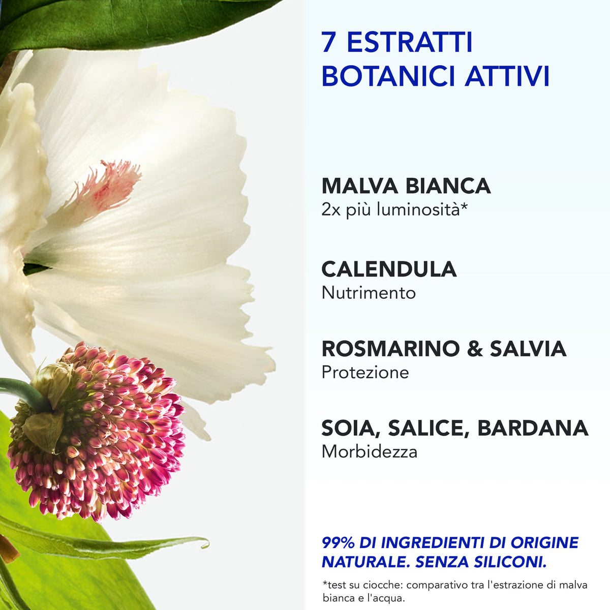 PHYTO - Phyto 7 ElixirCrema da Giorno Universale 50 ml 50 ml  DESCRIZIONE OTTIMIZZATA