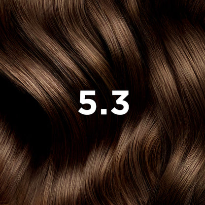 Phyto Hair Color5.3 Castano Chiaro Dorato Kit