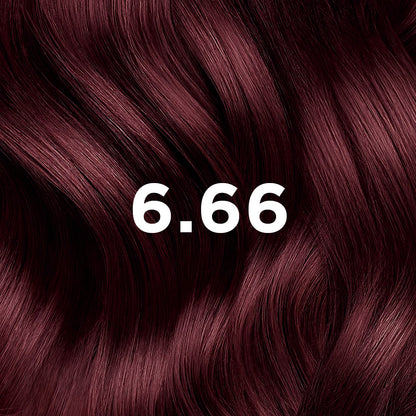 Phyto Hair Color6.66 Castano Rosso Intenso Ciliegia Kit