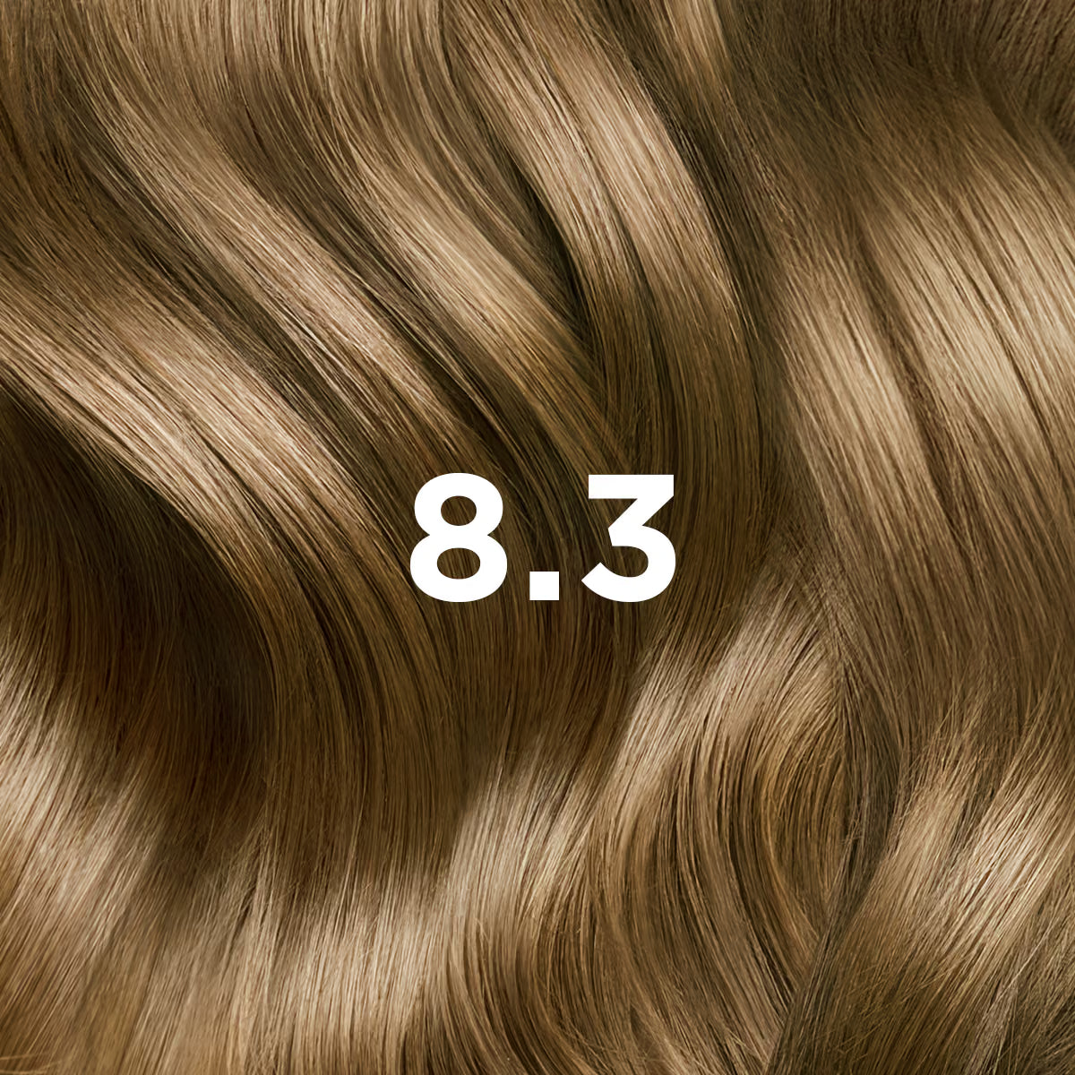 Phyto Hair Color 8.3 Biondo Chiaro Kit
