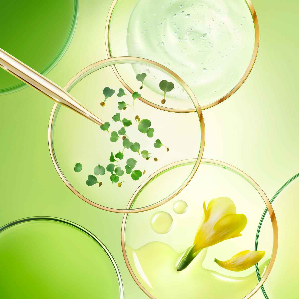 nuxuriance ultra
La Crema ricca anti-età globale