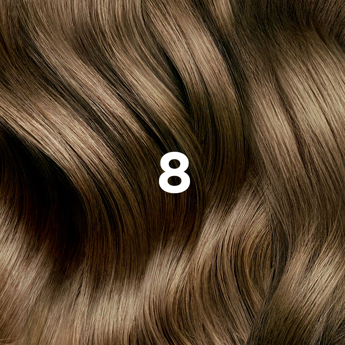 Phyto Hair Color 8 Biondo Chiaro Kit
